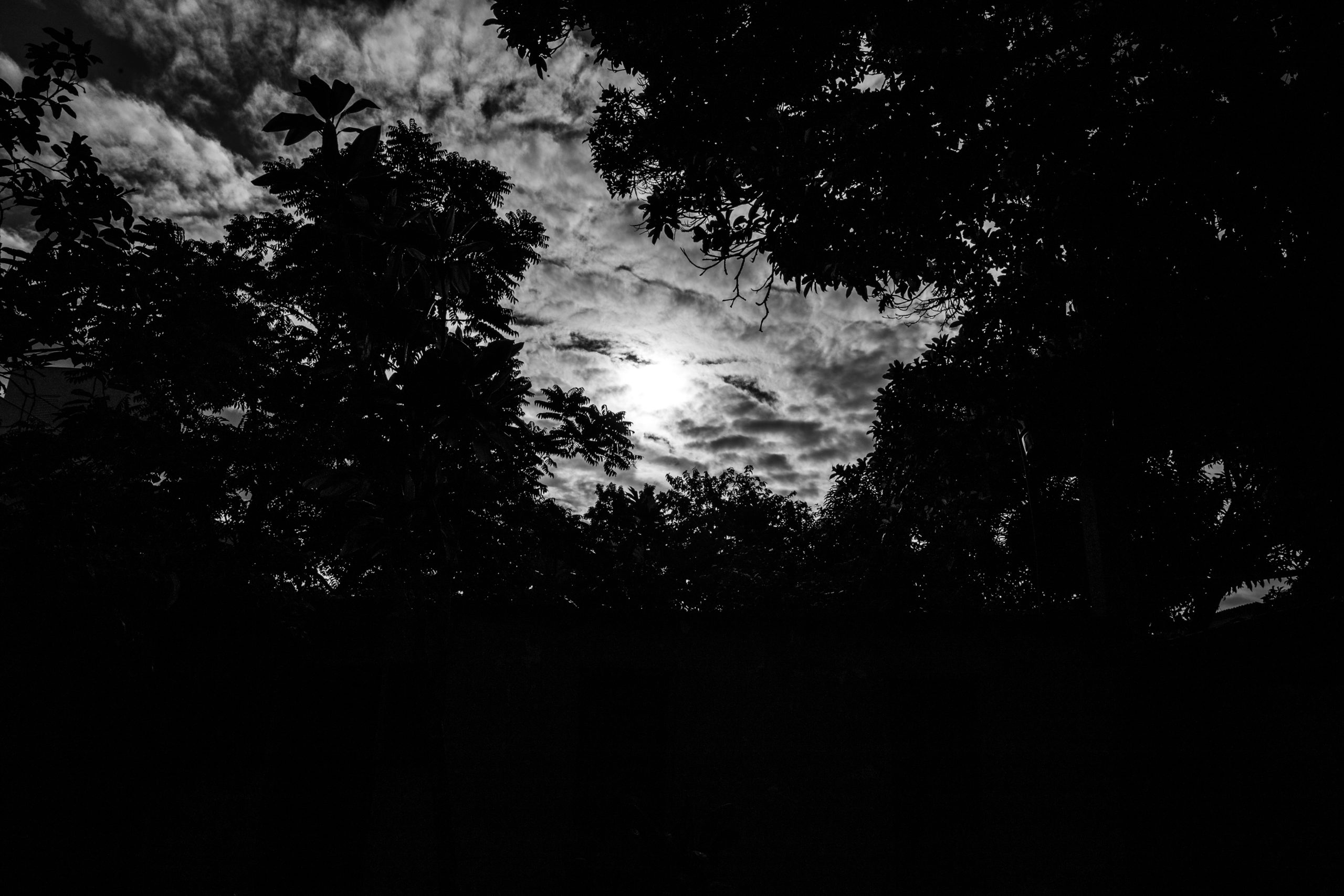 Quintal a noite foto preto e branco